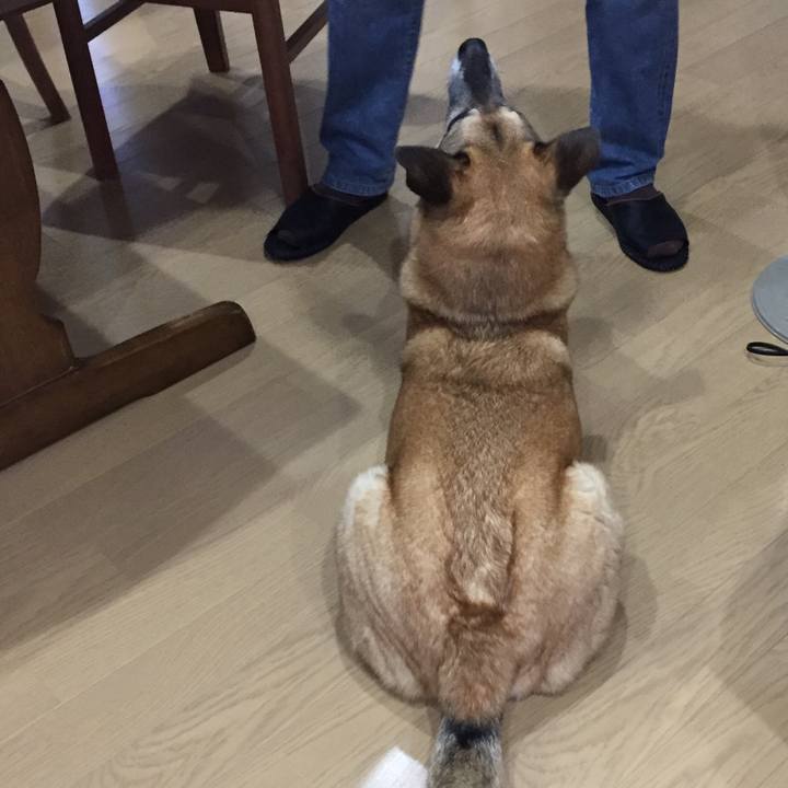 B0f6d964 41b9 4220 a3a8 8d51869de875