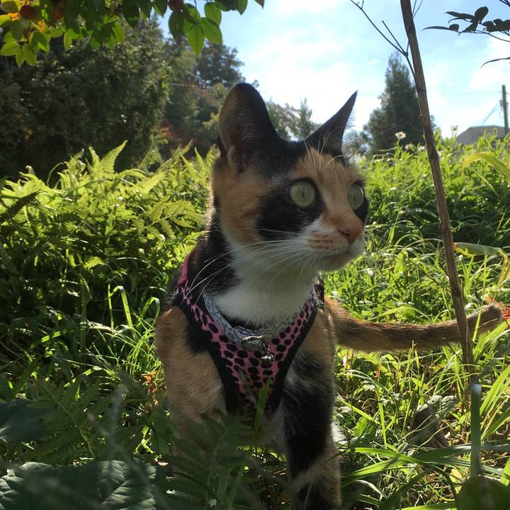 B0f7654c f735 4667 9ea7 bc75fa12f544