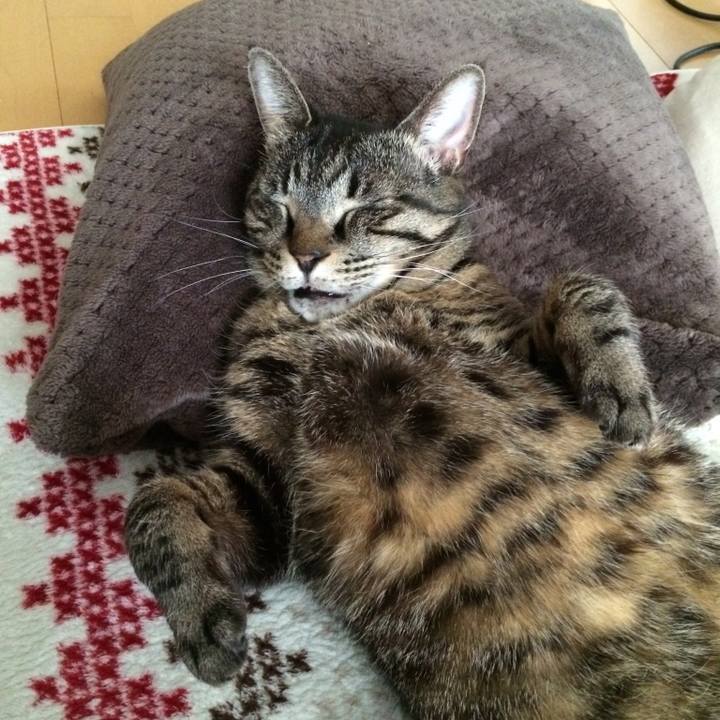 B0f7cc46 6fec 4e57 9865 85dacbe83934