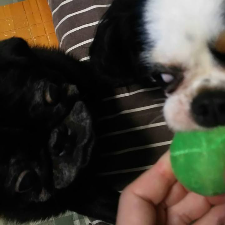 B0f823e3 bd5e 442a a283 2e1bc601feb6