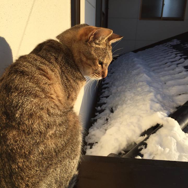 B0f882a6 4052 4799 bb0f 2deac450ebc2