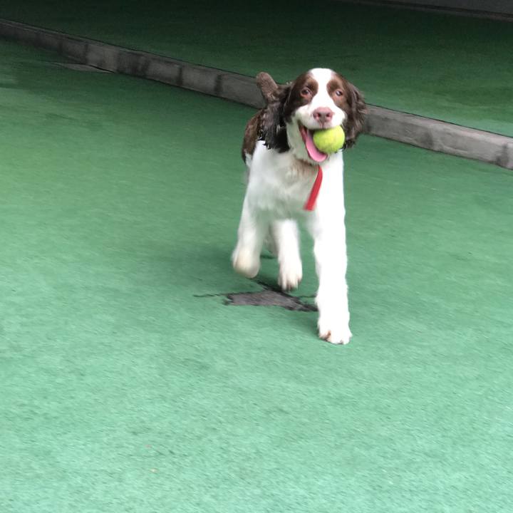 B0f888e7 aec4 4df2 8a9f 6db9a5ebedff