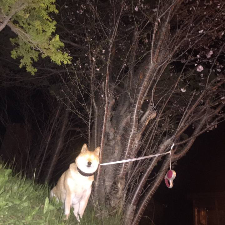 B0f8b52f 4ad8 4448 b091 166b5b0ef55e