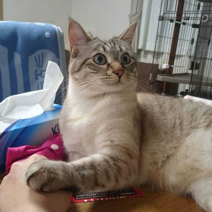 B0f997a3 4978 4358 84e9 0779902989f5