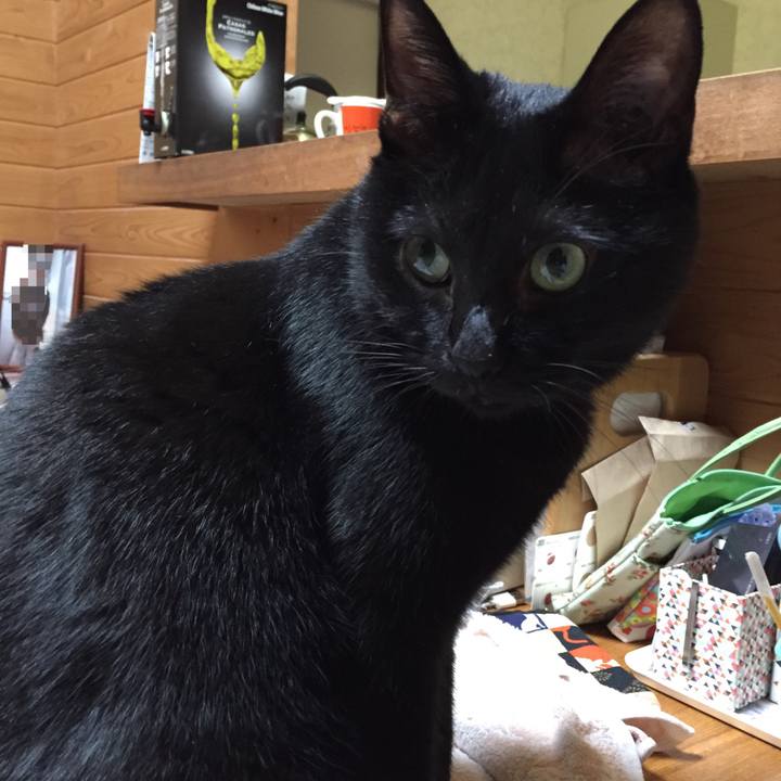 B0f9e17c b7c0 4620 84e4 c1364dbd48f7