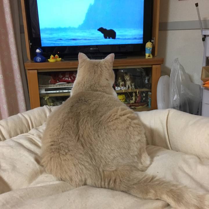 B0faddae ec29 44e7 afd9 3dddeb8d1f97