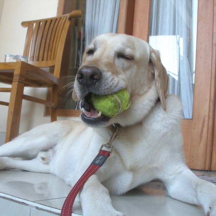 B0fb5339 59c0 4b44 b6f2 38b0d75f3e30