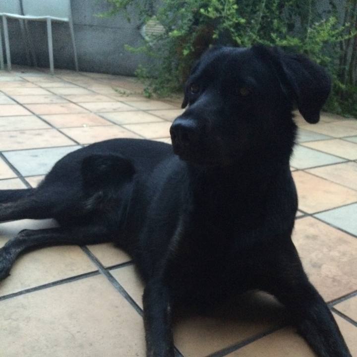 B0fbed58 cdca 49dd b24a e83b0d5fc470