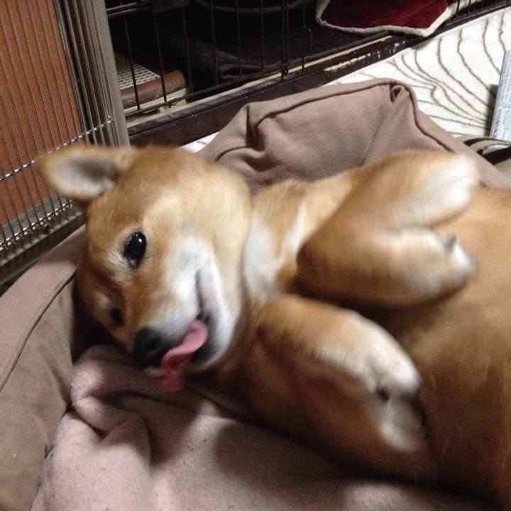 B0fc1c87 19c7 4f06 b0f3 ed299555591a