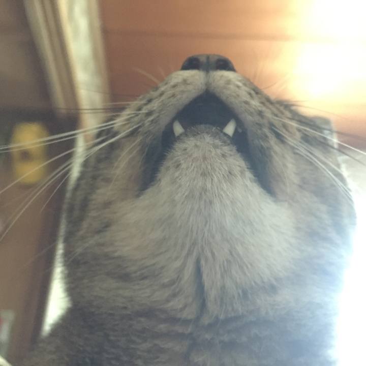 B0fc9119 2a06 499c 95b4 ca42906ecd7e