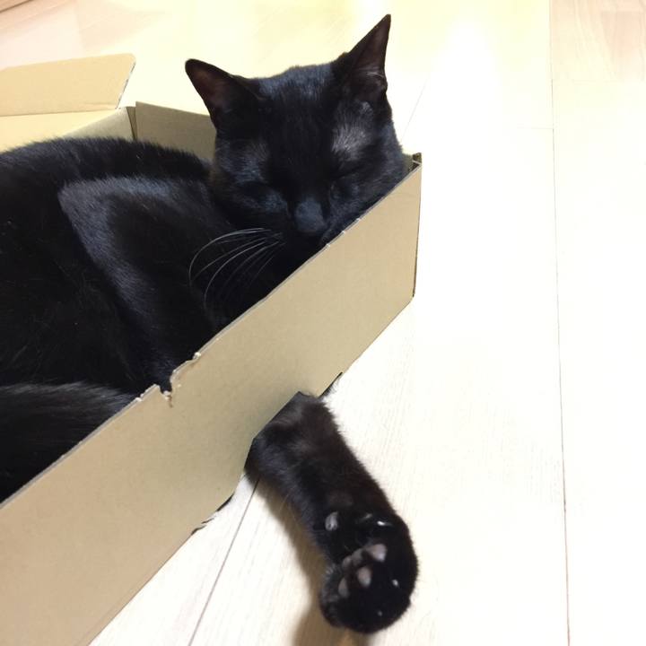 B0fc995f dffc 4c9f ba31 2f2dfc887da9