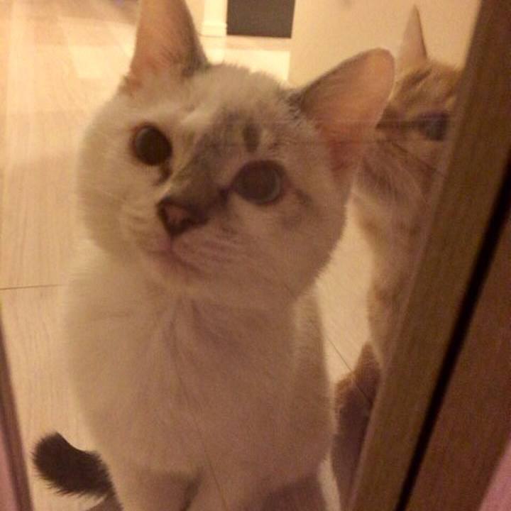 B0fcbbfe e40c 44ce 9648 08739f894393