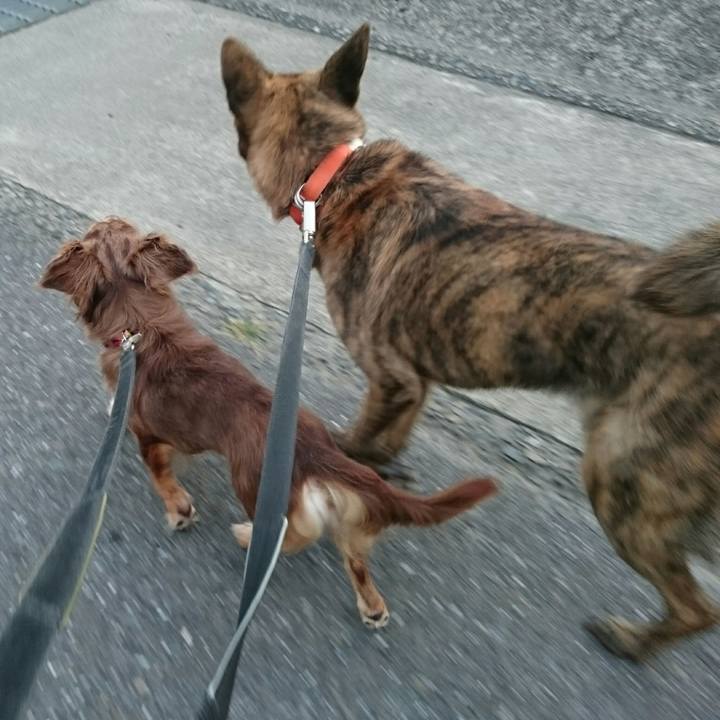 B0fcc523 e46a 4e96 b7f2 f06006353e92