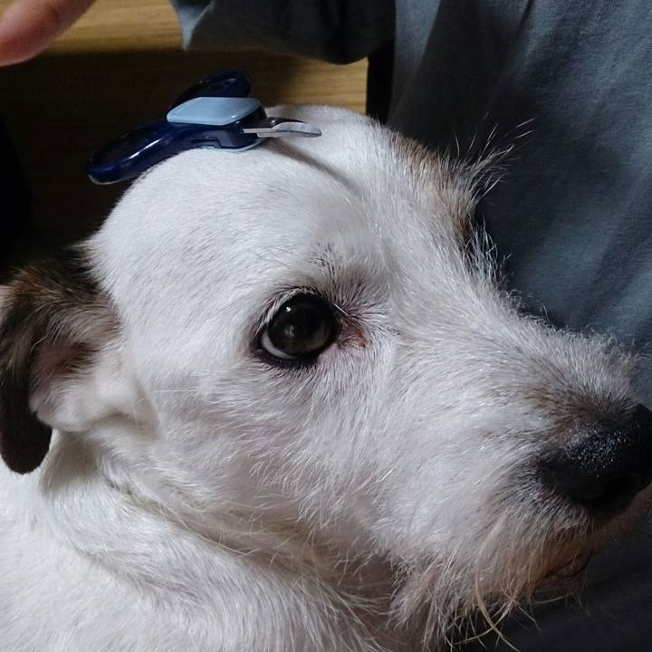 B0fdcbfa a263 4afe 9bc3 fd11e7214d61