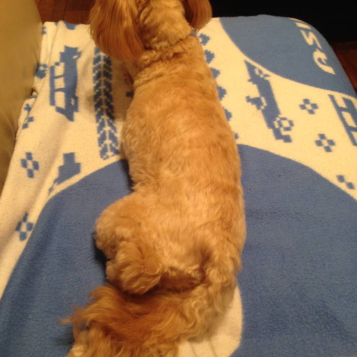 B0fe10b0 8721 49df a110 346875f7361b