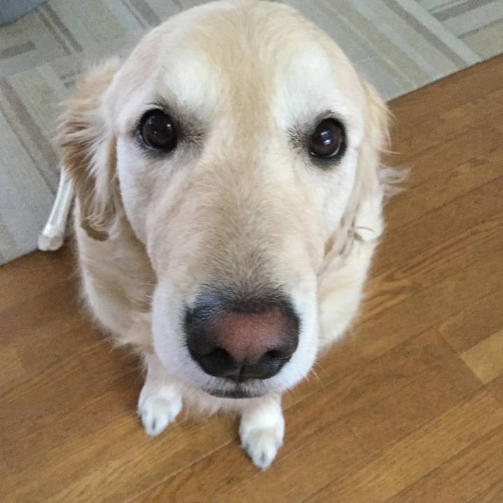 B0fe4c44 2d19 4dbc 9fad 43f0a56c72d3