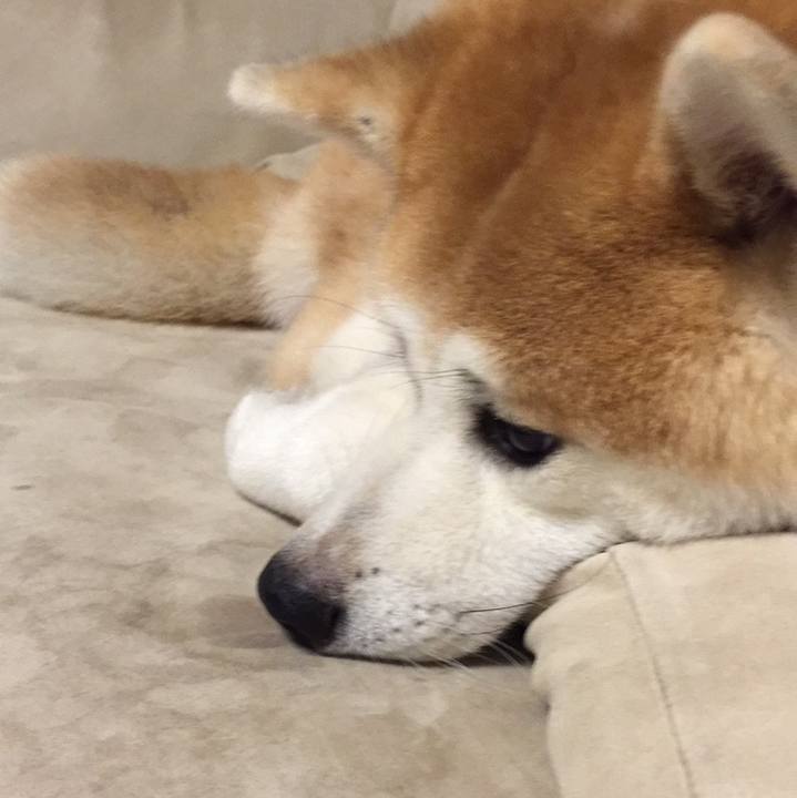 B0fe5631 7635 4011 a61f ab8405c48fb0