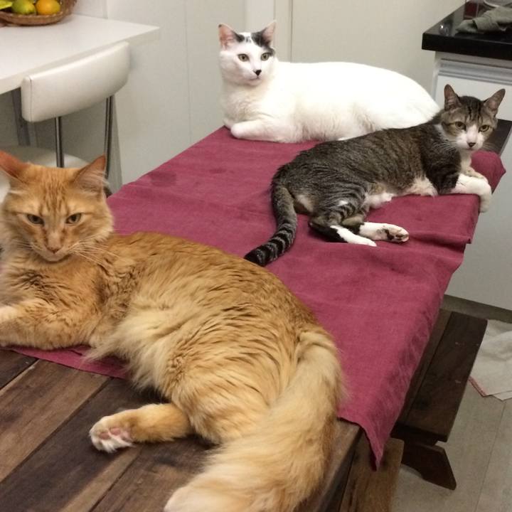 B0ff23b9 b6bf 4894 bdb0 808442aba7ea