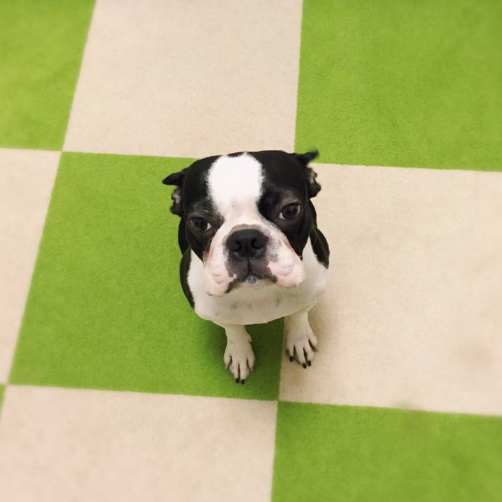 B0fff65a 5abd 4196 a71f 81f73ebe05f6