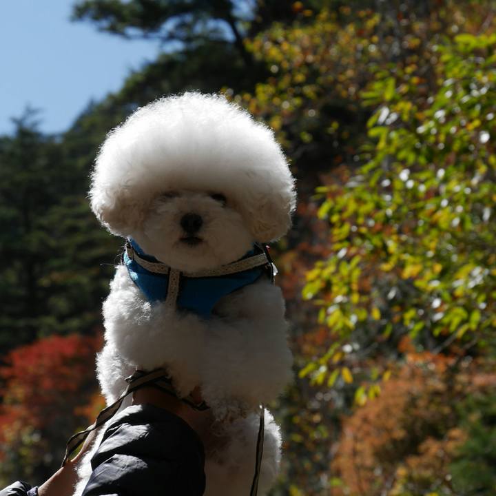 B1020797 7fc8 404a 8f59 e869510b0c2d