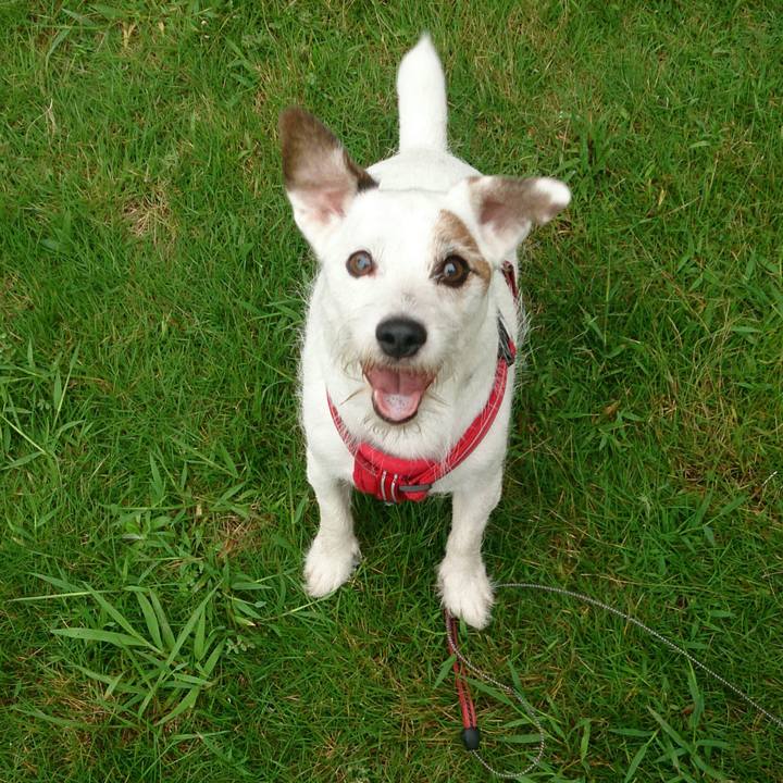 B1020d86 1932 49e4 840c 6b80d9de3937