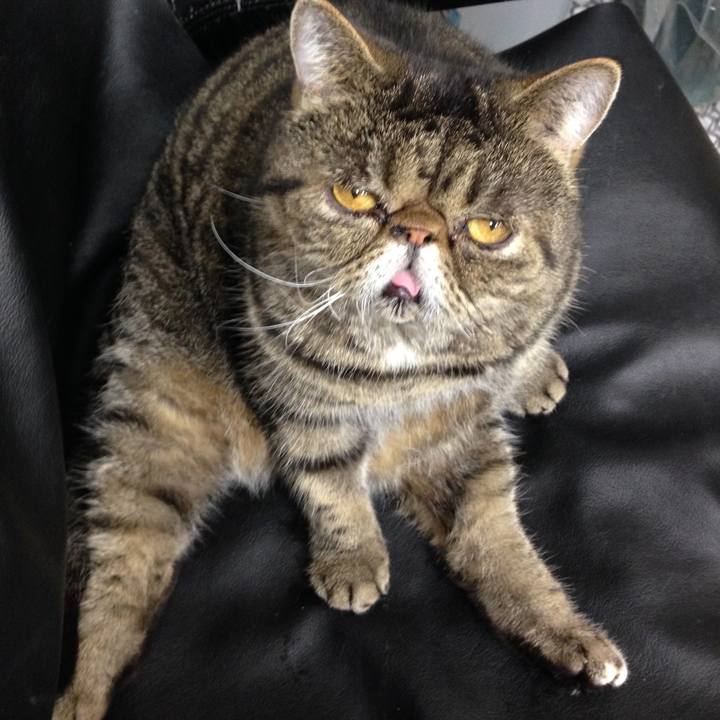 B1021a6a 686b 4417 8ab9 0e4031066312