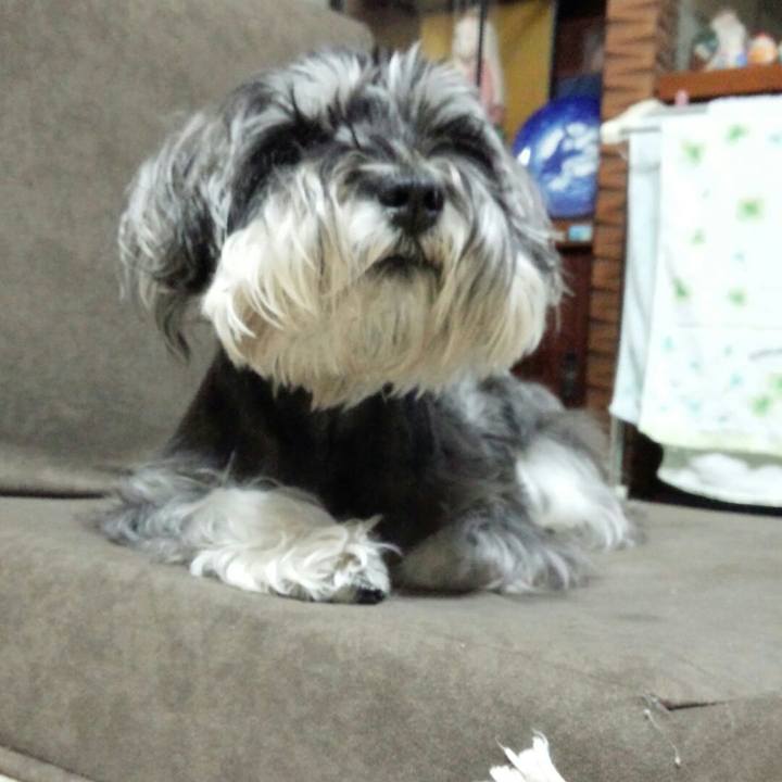 B1025e3c feab 416a b7f8 866c02319c56