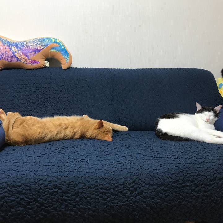 B102730e 1d72 47ec 82b0 38a99bcedae1