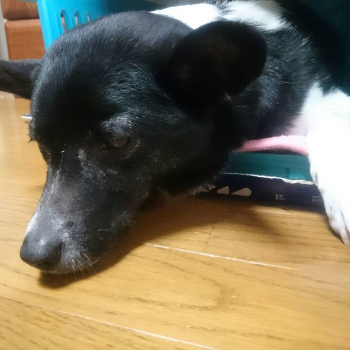 B1028df5 ab04 4796 9efd 0fbd94d5f1de