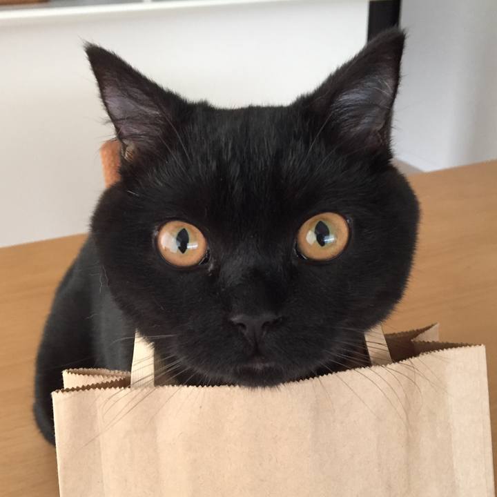 B103088b 1b0d 4fb3 a059 373a1dacda1a