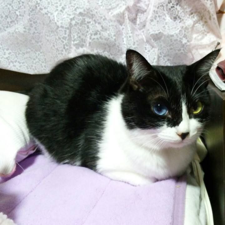 B103910b 02bf 4b53 afbf b1a44710780a