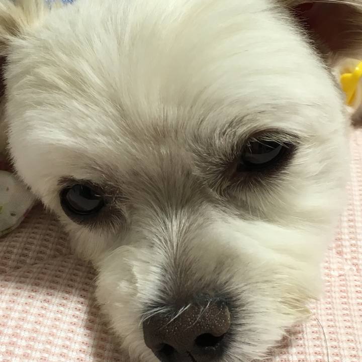 B103caf3 93c2 4da0 870a 3b692312a1cc