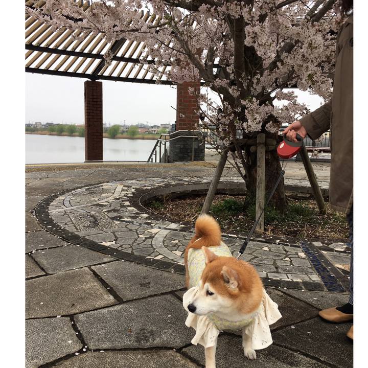 B103de67 fd6a 4c52 ae6b f37cb4059b1d