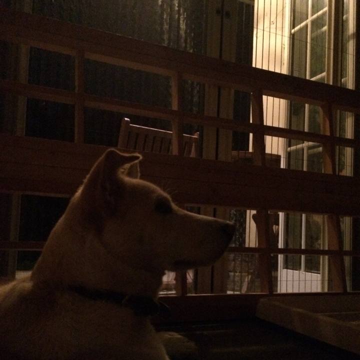 B104d60e 7831 49de 9a7c 59f5e2f48ae9