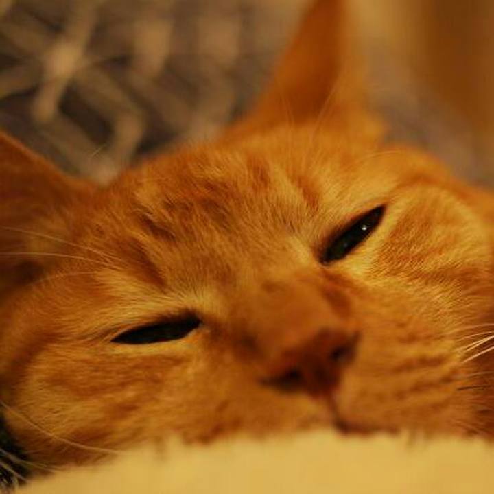 B105c0b6 ceda 4a2d b118 a42b9be6003c