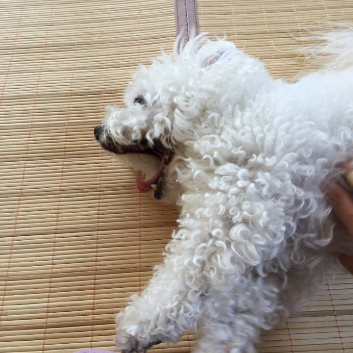 B10621e1 fa8a 4102 b106 868b3faea08b