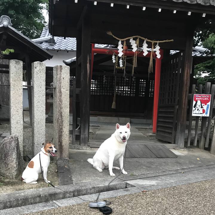 B1081d1c 1d04 4642 a5a8 0e0643a27777