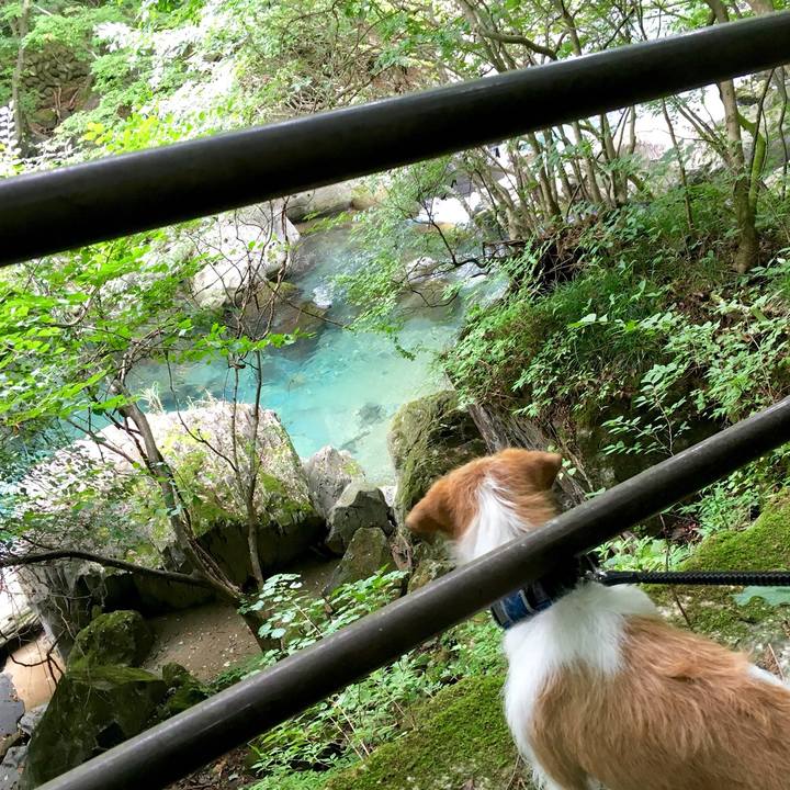 B109c7b0 330b 4ac6 a8d6 113805772878