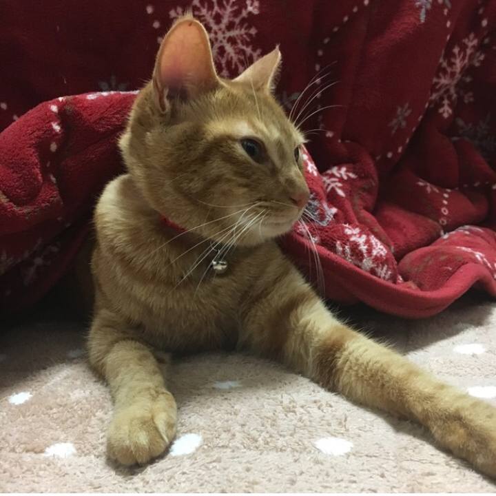 B109e57a 5cc3 42c8 ba03 d6133ebabae7