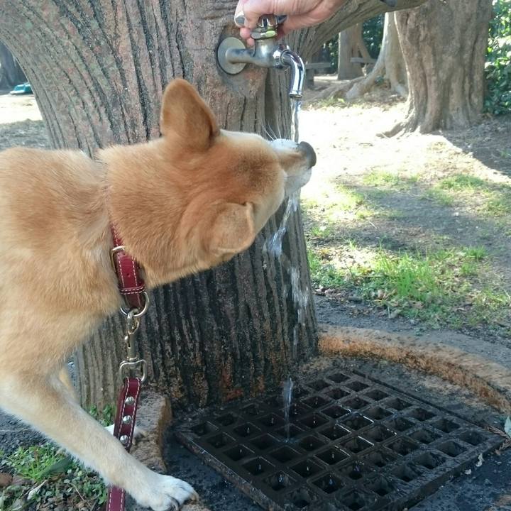 B10a6435 5a68 4d70 b3c3 fbcd9499f671