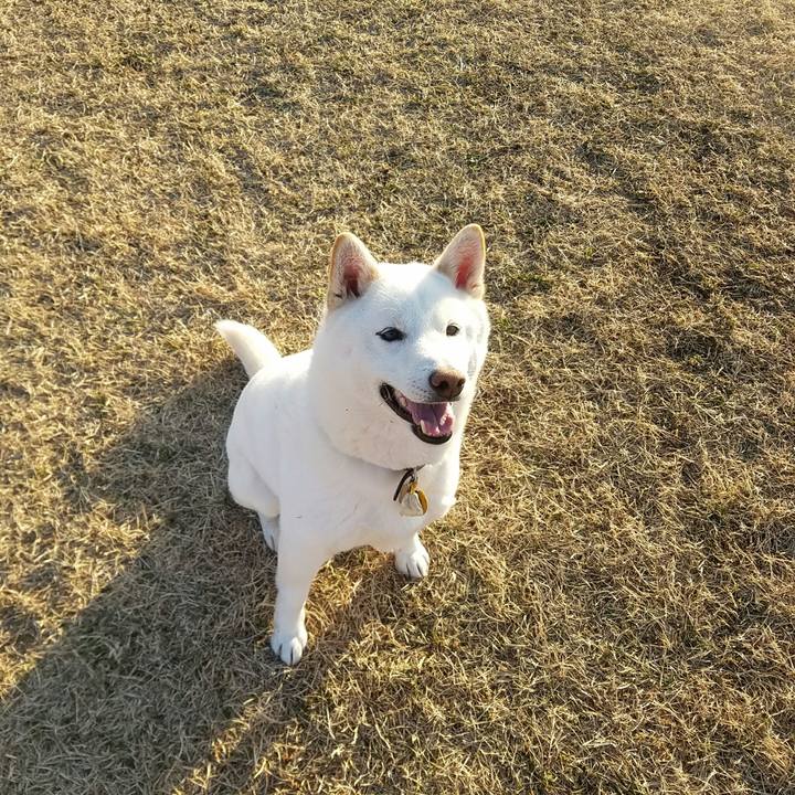 B10ca0f7 58b4 4a59 84f8 8260e5214dd9