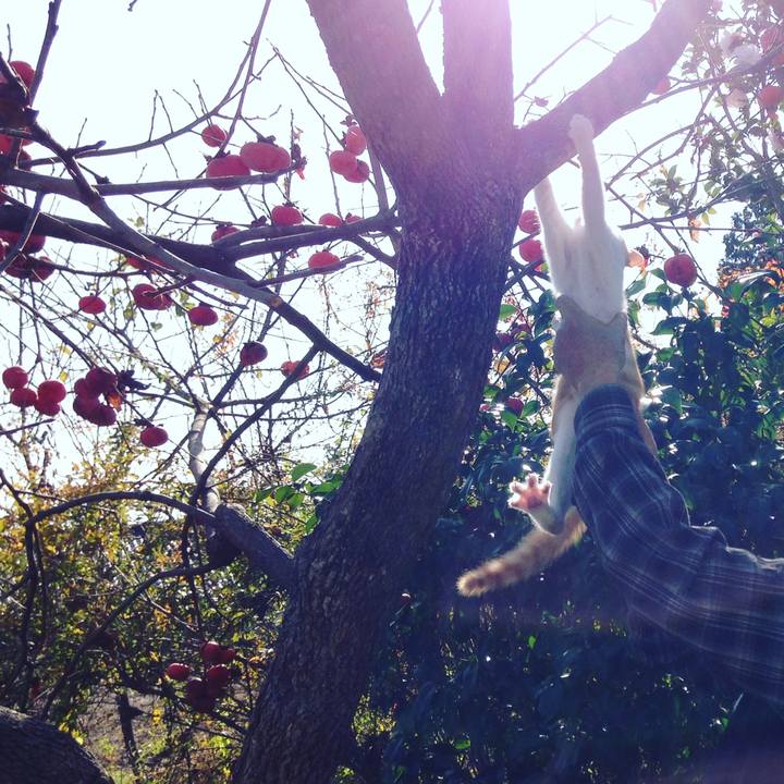 B10cfcb3 a51a 45ee 9ee5 33e49bde5e38