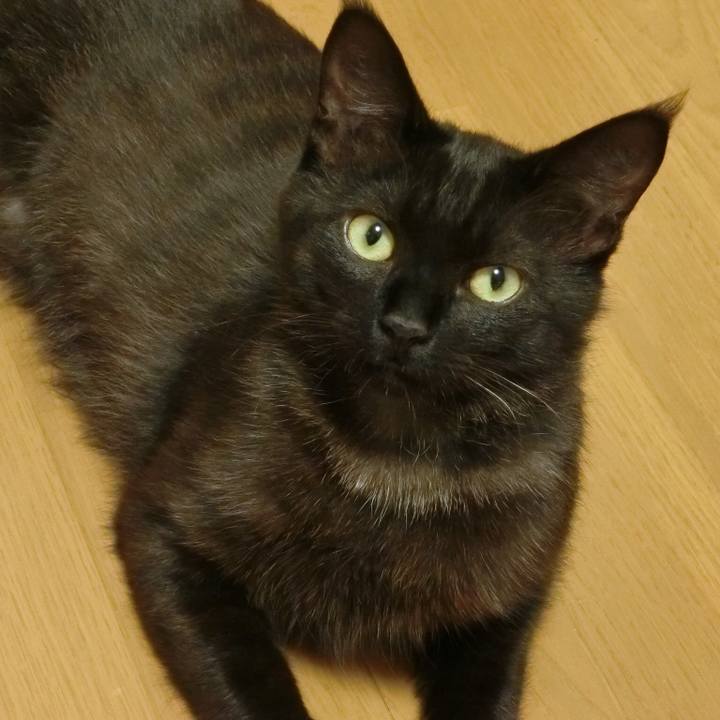 B10d3149 e499 4205 b22c accccb497b0c