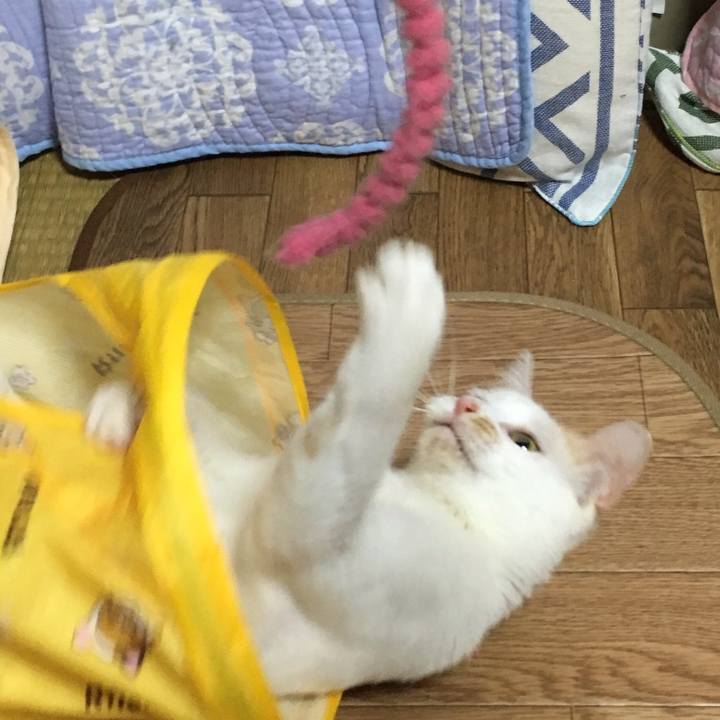 B10da62d ae0f 474c 8f4f daa541134667