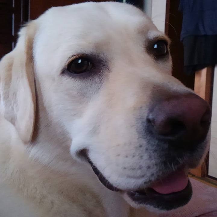 B10df110 9ebc 4c97 a437 60178436600f