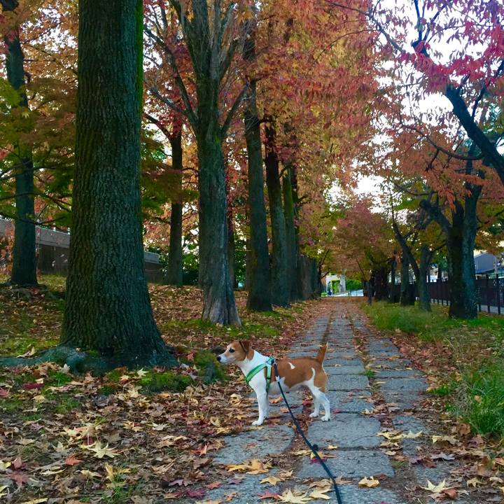 B10e9db0 ac14 4b3e 9946 67079dbebf25