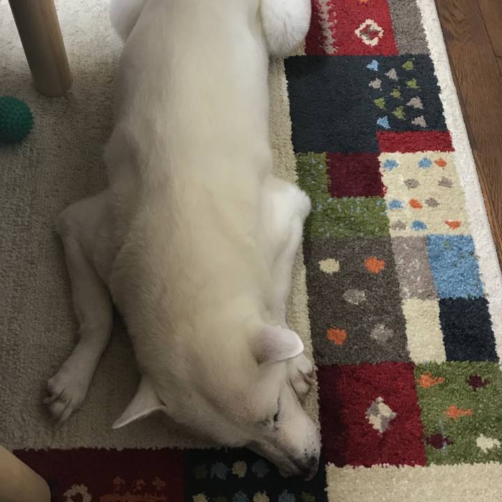 B10f0a60 6cbe 4374 93ad 3c896a07ab88