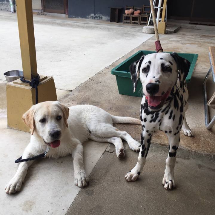 B10f6ab9 31ca 470b ba8f d72172f0a29d