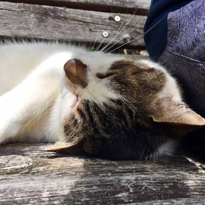 B10fb640 8937 43e2 9ed7 4458fe66f27a