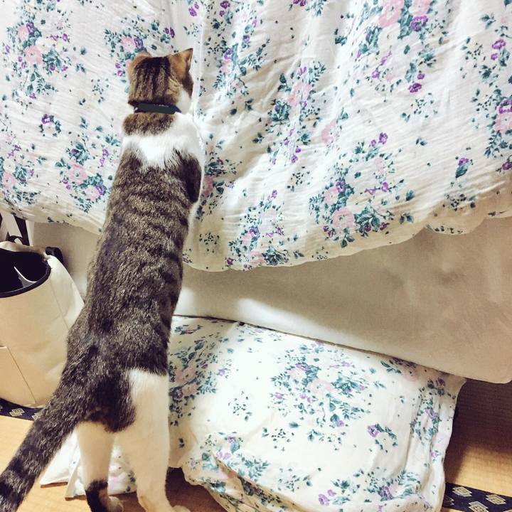 B11015e0 9e2c 4a71 befc f6d9a6290e27